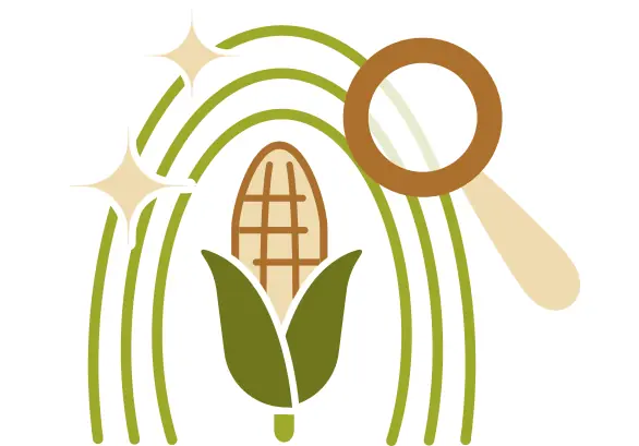 3. Evaluation of the impacts of new materials on plants, soil, and the environment.