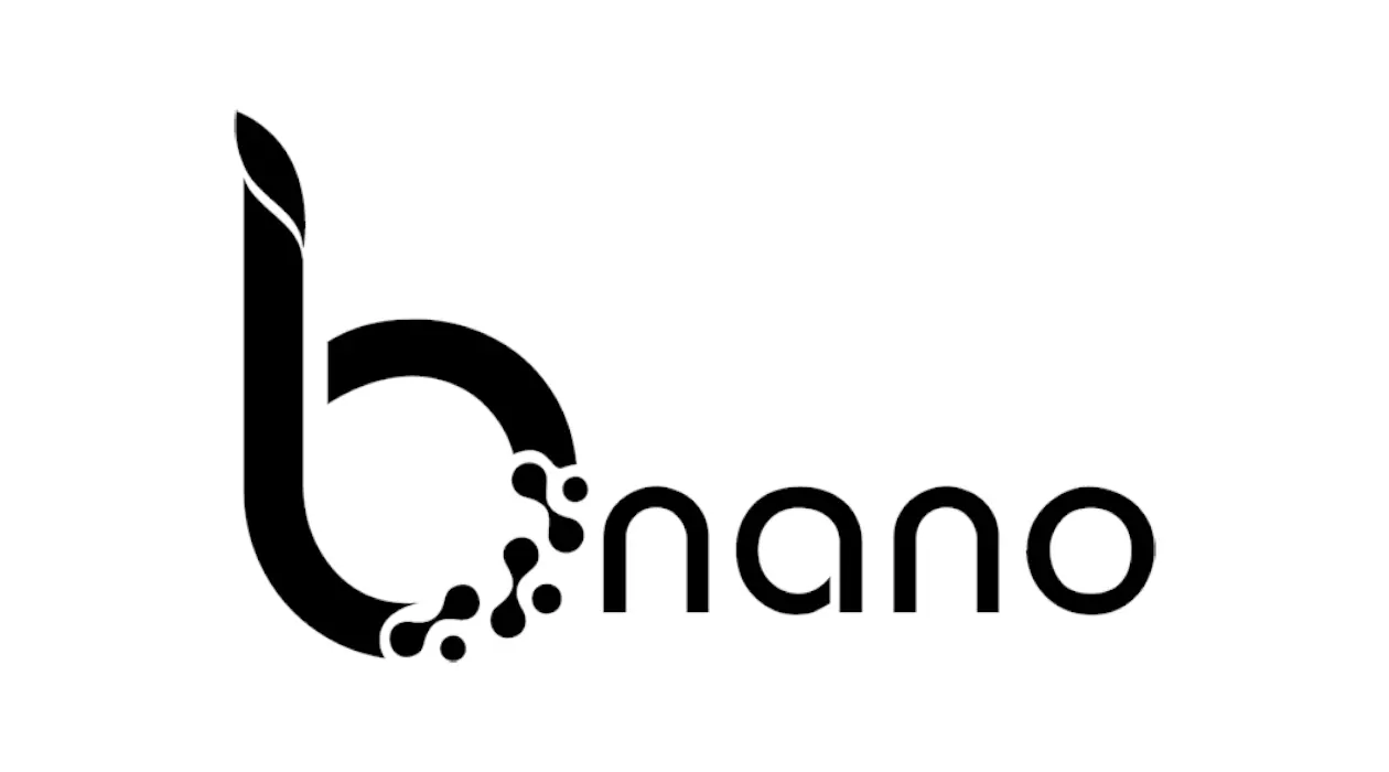 bnano logo<br />
